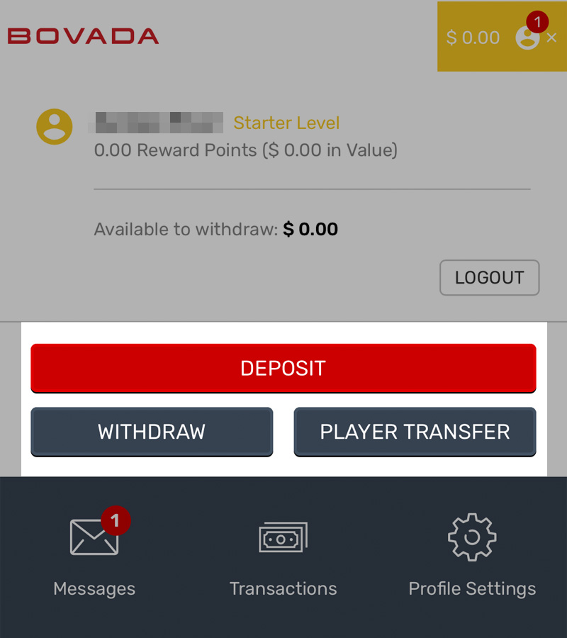 Bovada Casino Bonus Codes Jan 2024